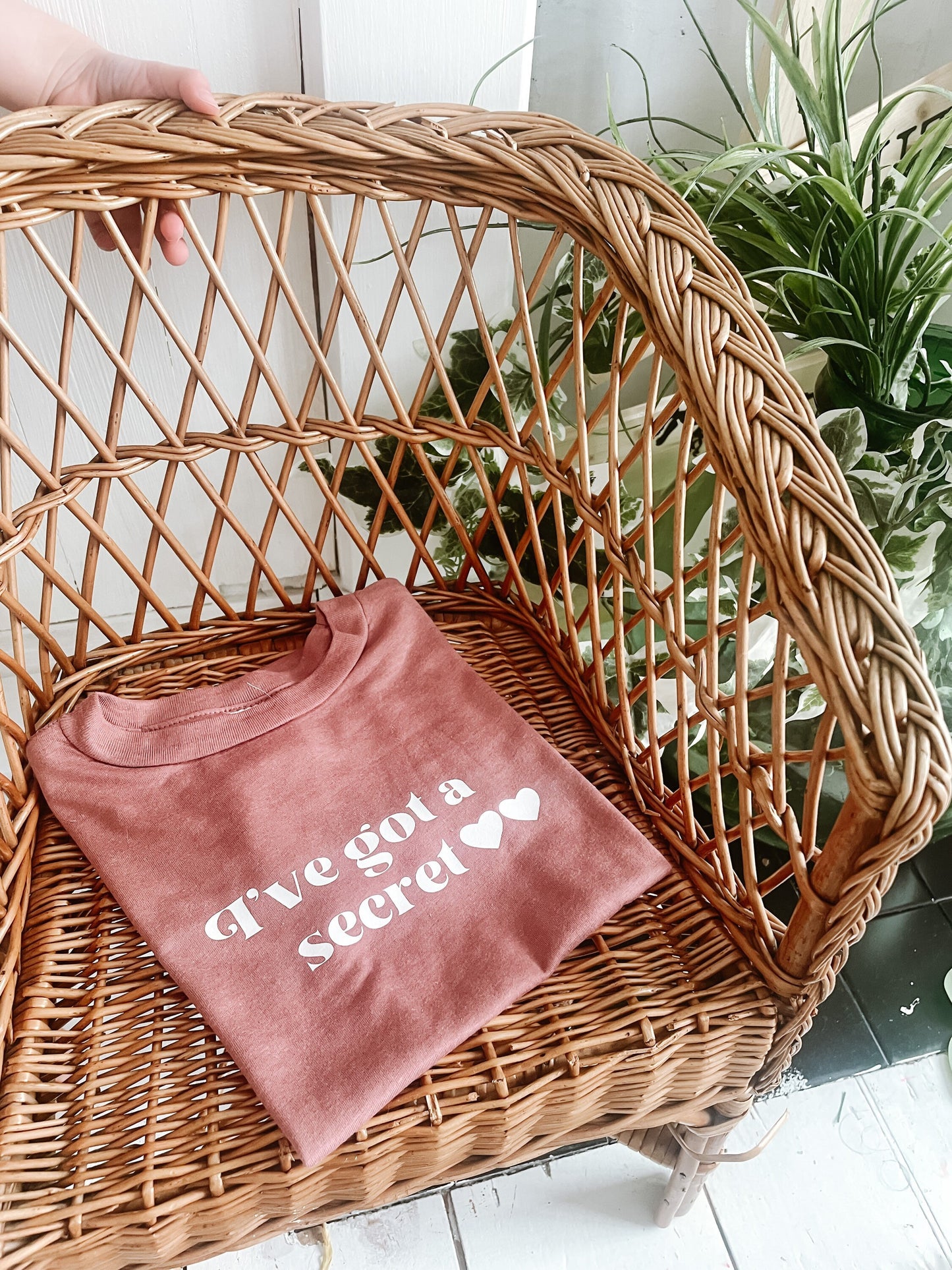 Pregnancy announcement Tshirt | sibling Tshirt | big sister | big brother