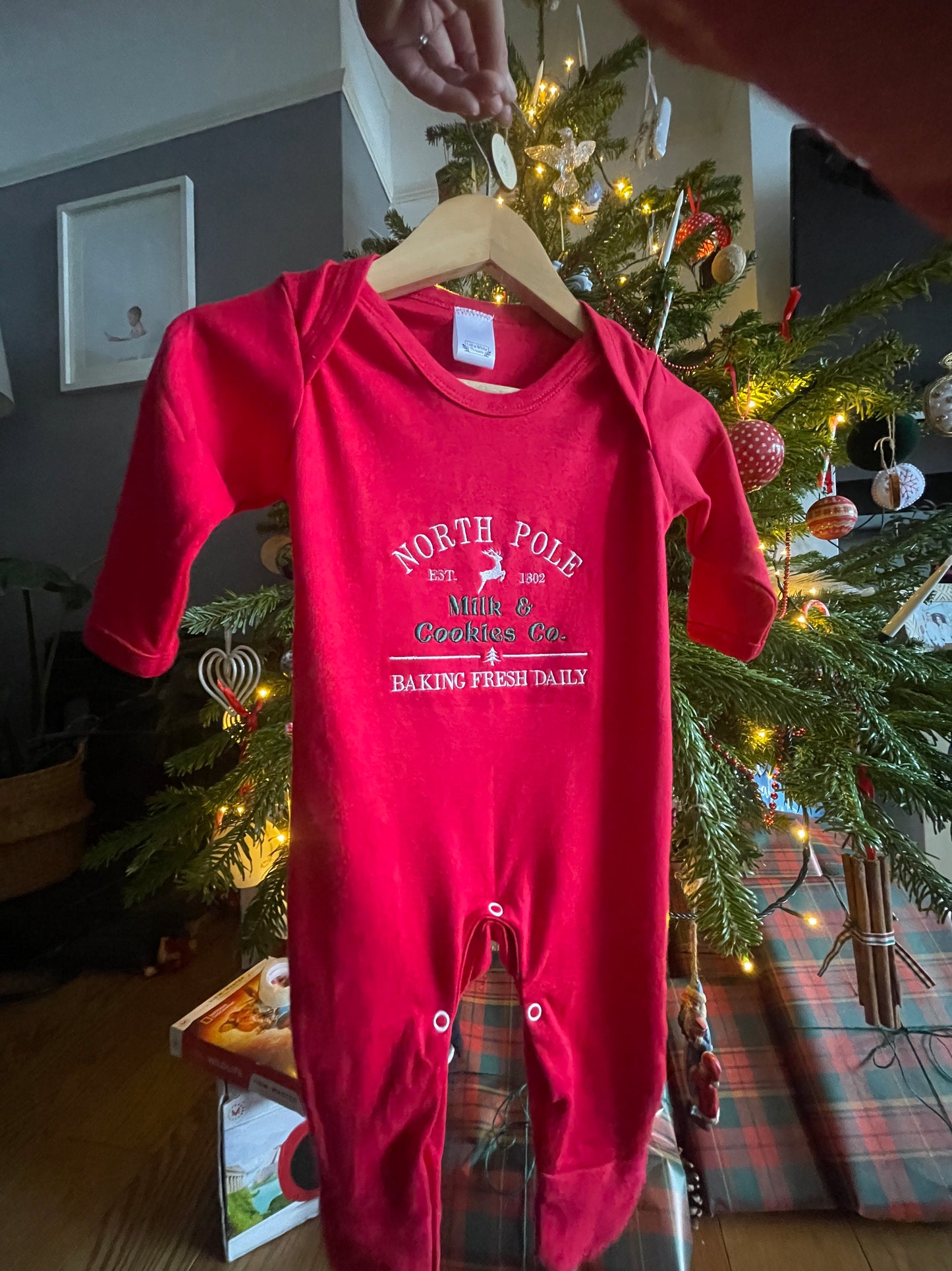 Embroidered baby Christmas romper | sleepsuit